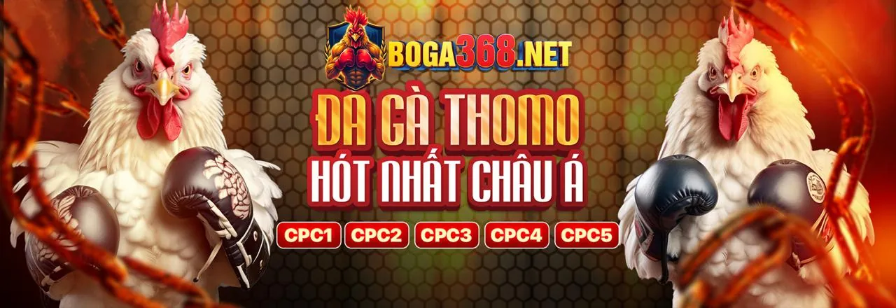 Đội ngũ V8BET chuyên nghiệp